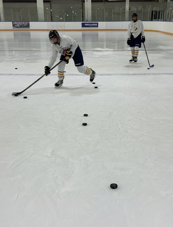 puck skills puck skills